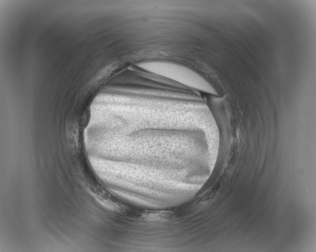 X0000078870072200612111724