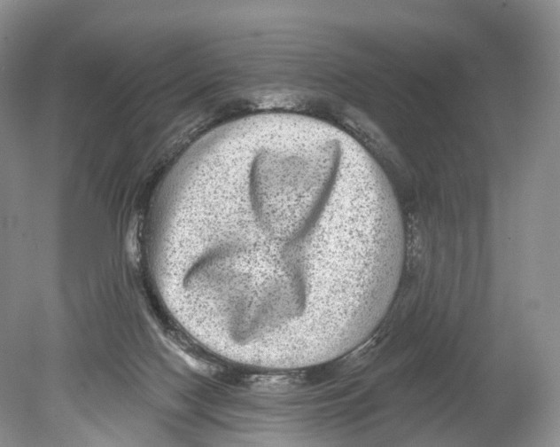 X0000078870074200612111724