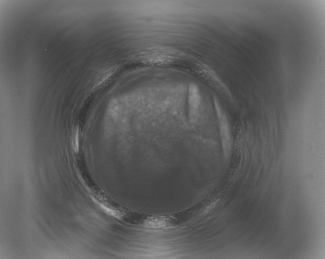 X0000078870076200612111724