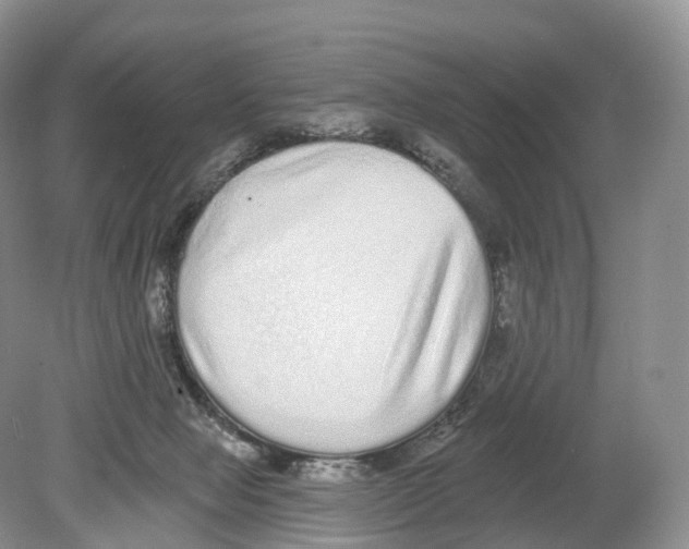 X0000078870077200612111724