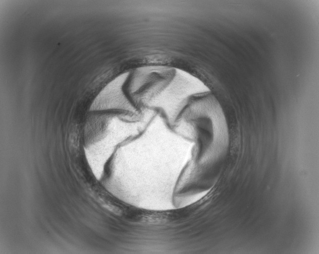 X0000078870078200612111724