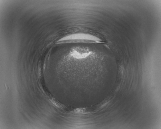 X0000078870080200612111724