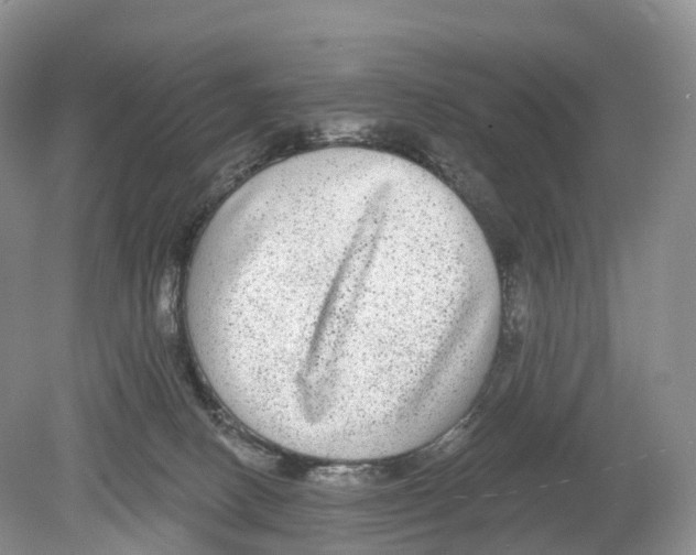 X0000078870082200612111724