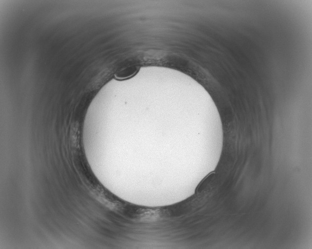 X0000078870083200612111724