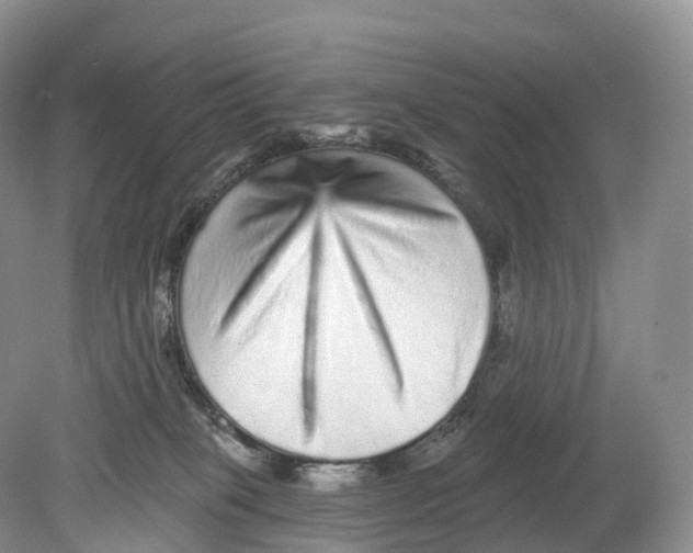 X0000078870085200612111724