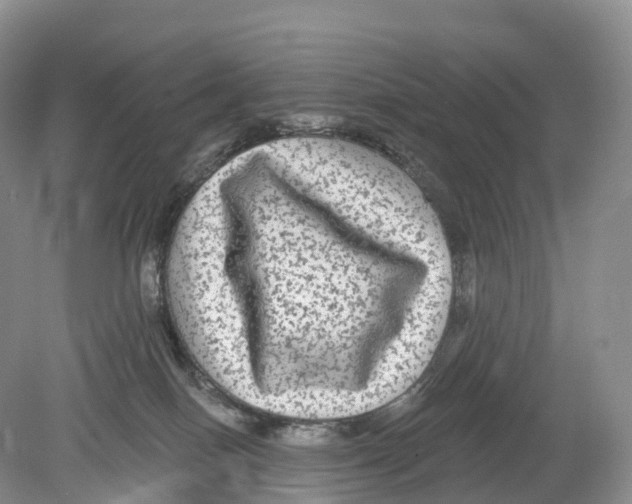 X0000078870086200612111725