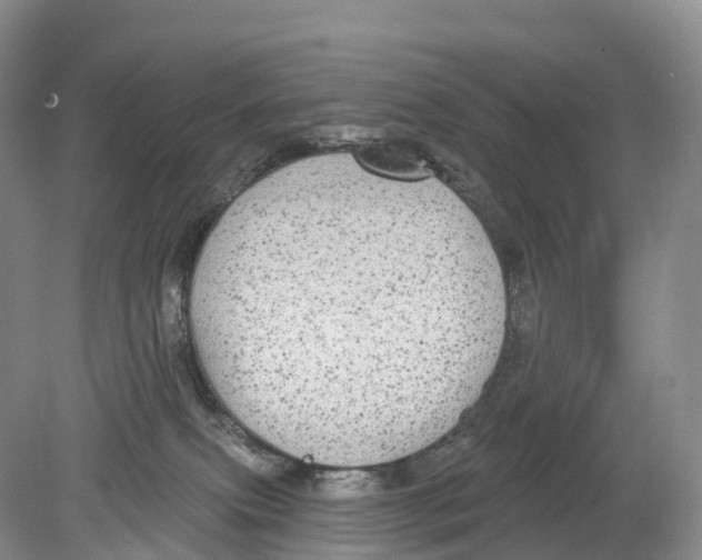 X0000078870087200612111725