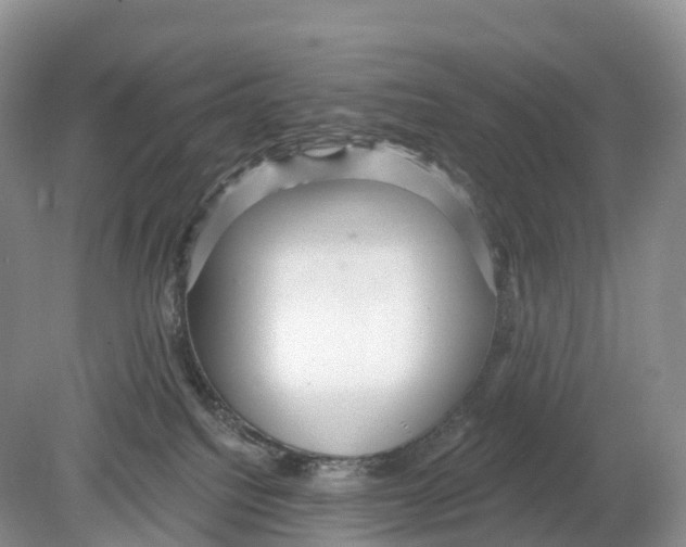 X0000078870088200612111725