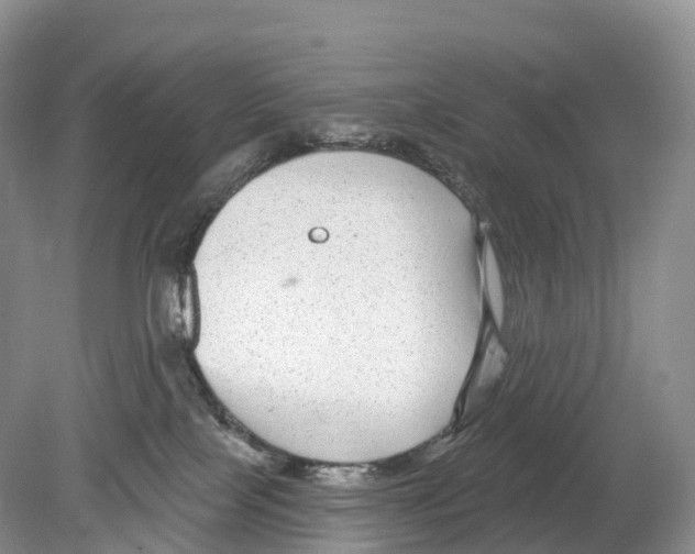 X0000078870089200612111725