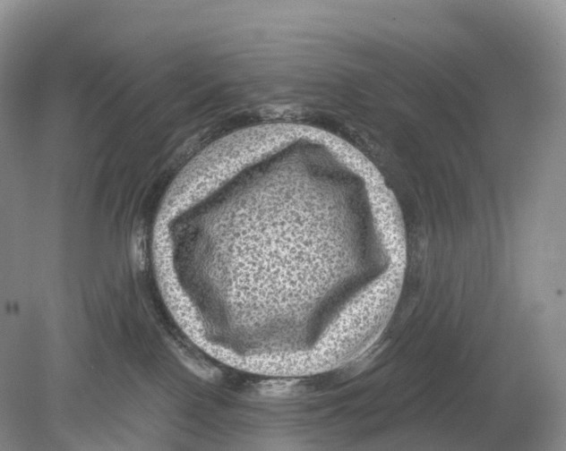 X0000078870090200612111725