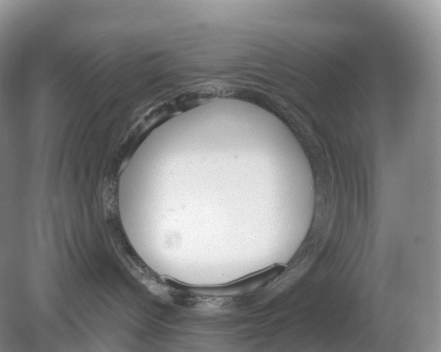 X0000078870096200612111725