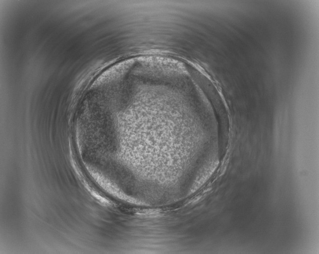 X0000078870097200612111724