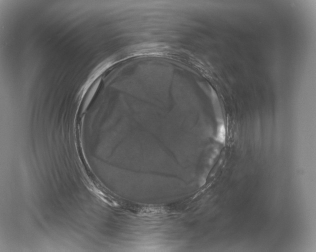 X0000078870099200612111724