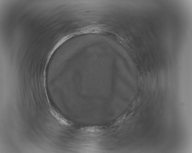 X0000078870100200612111724