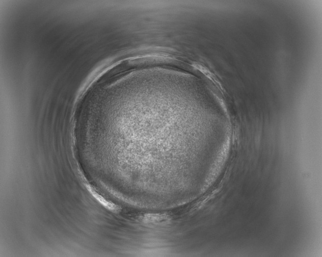 X0000078870101200612111724