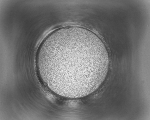 X0000078870103200612111724