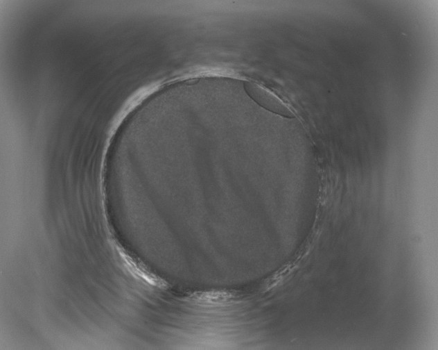 X0000078870104200612111724