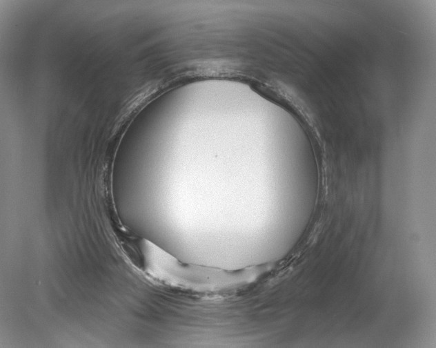 X0000078870105200612111724