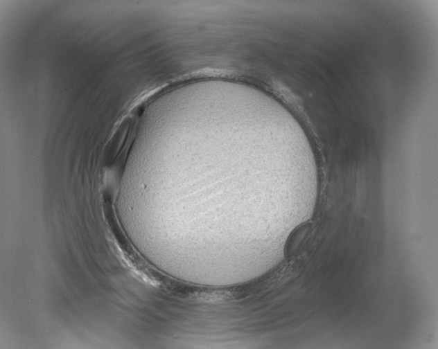 X0000078870106200612111724