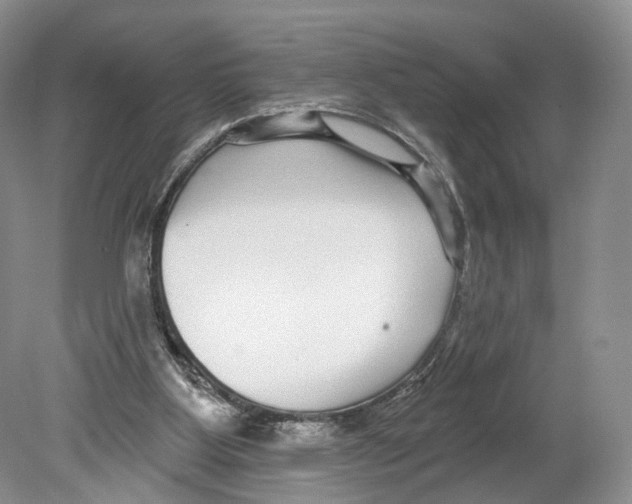 X0000078870107200612111724