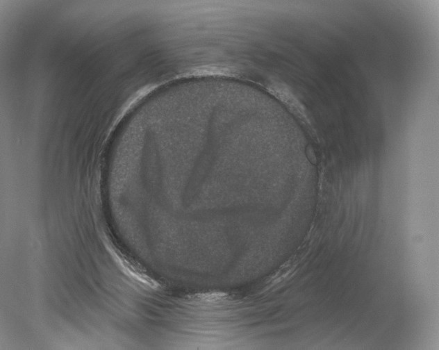 X0000078870108200612111724