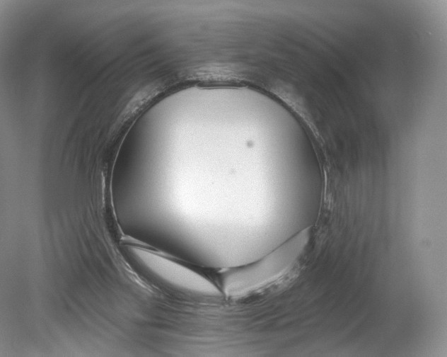 X0000078870109200612111724