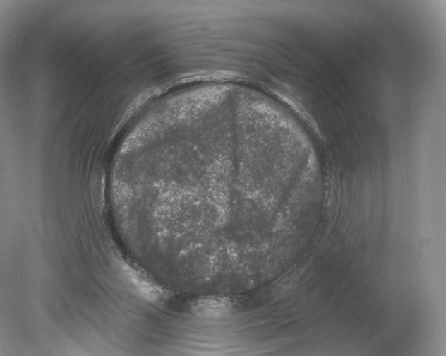 X0000078870110200612111724