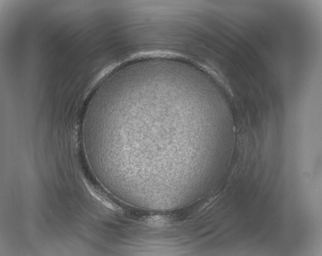 X0000078870111200612111724