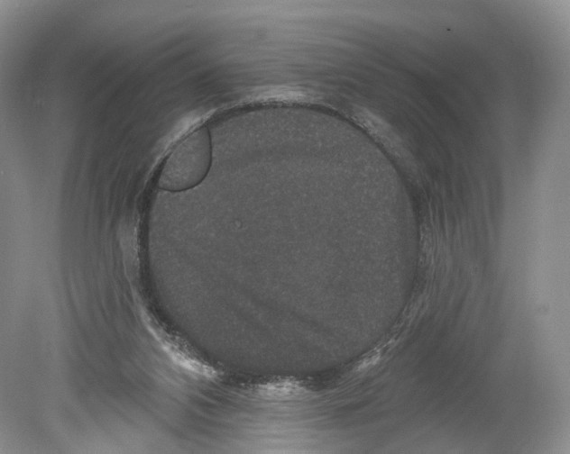 X0000078870112200612111724