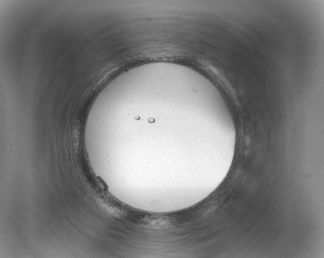 X0000078870113200612111724