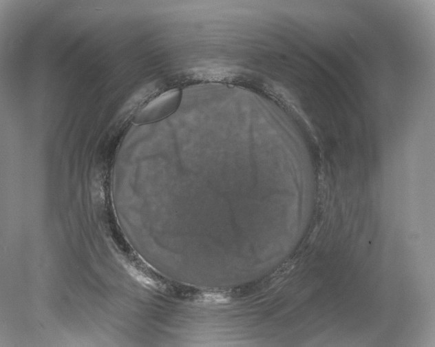 X0000078870114200612111724