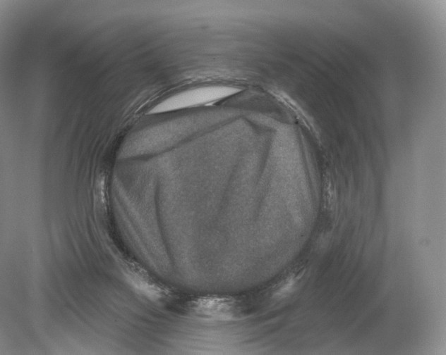 X0000078870117200612111724