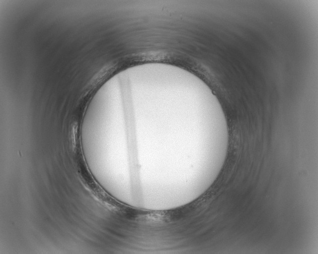 X0000078870118200612111724