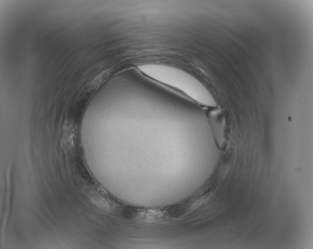 X0000078870125200612111723