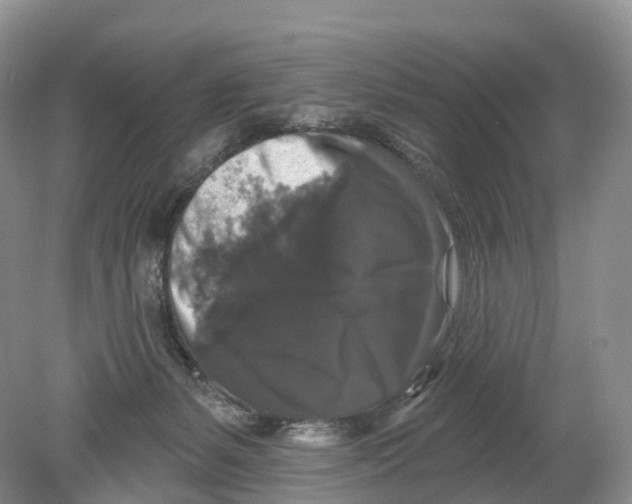 X0000078870127200612111723