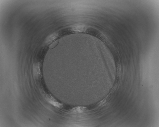 X0000078870128200612111723