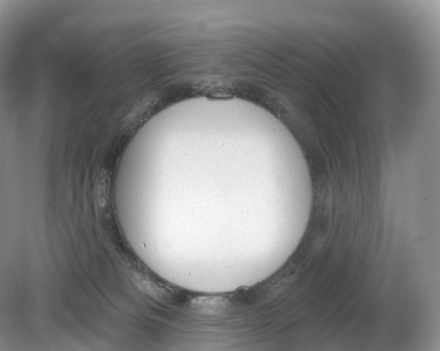 X0000078870133200612111723