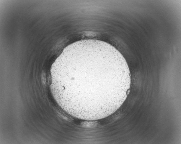 X0000078870135200612111723