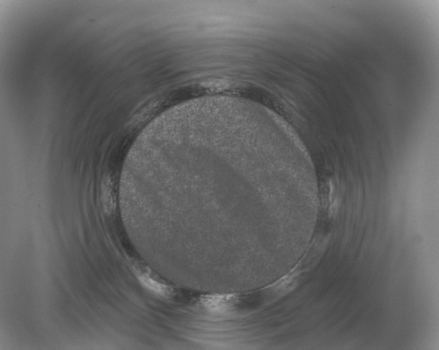 X0000078870136200612111723