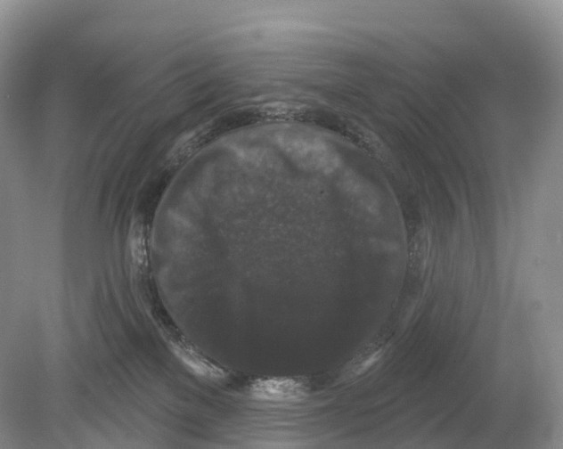 X0000078870137200612111723