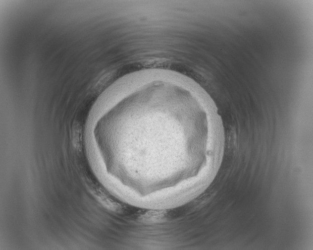 X0000078870138200612111723