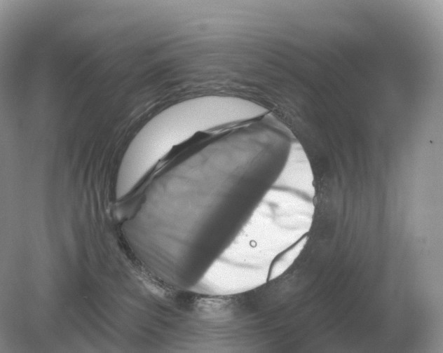 X0000078870139200612111723