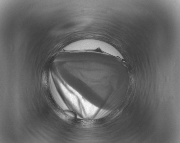 X0000078870143200612111723