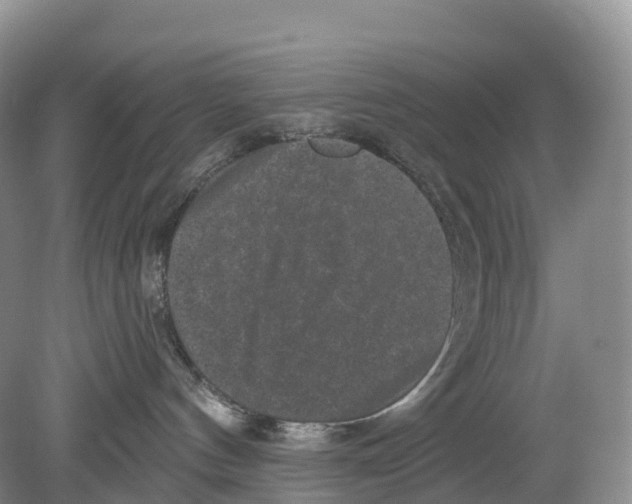 X0000078870144200612111723