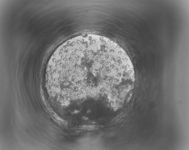 X0000078870145200612111722