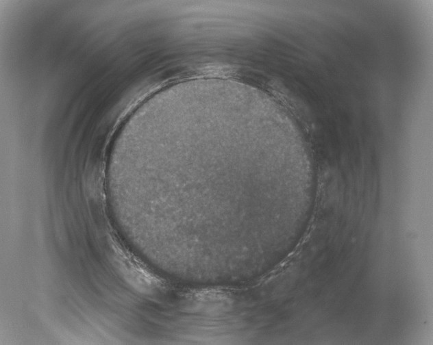 X0000078870146200612111722