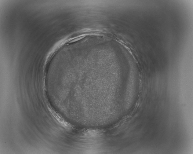 X0000078870149200612111722