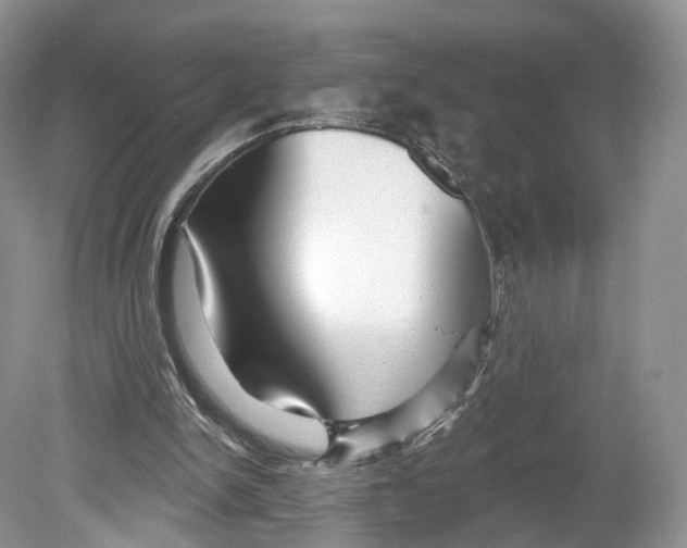 X0000078870150200612111722