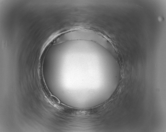 X0000078870152200612111722