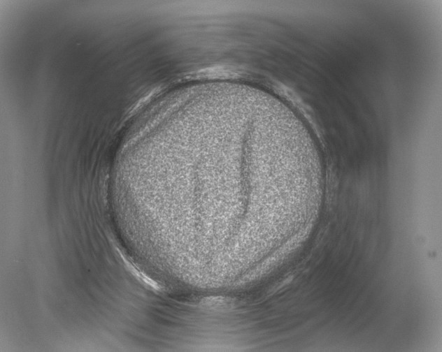 X0000078870153200612111722